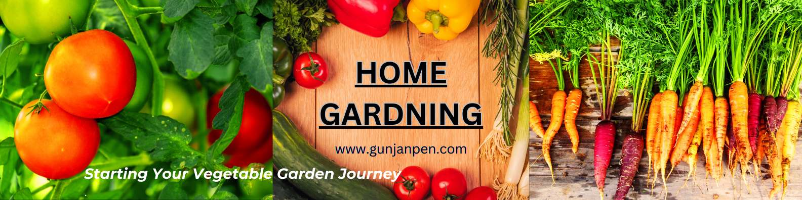 Starting Your Vegetable Garden Journey: Expert Insights for Beginners in Hindi